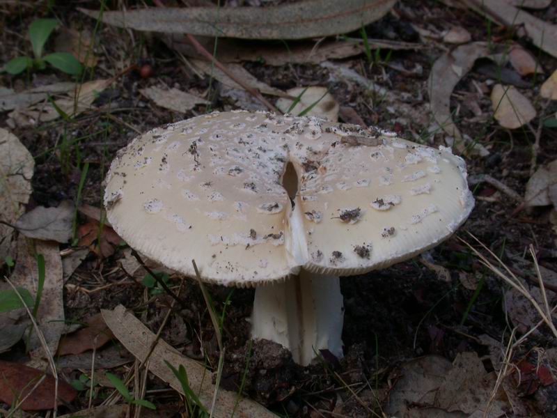 Escursione autunnale in Corsica